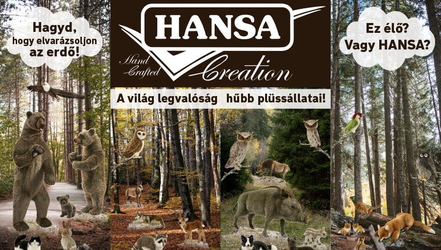 Hansa_Banner