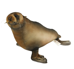 Hansa Plüss Játék Oroszlánfóka kölyök 48cm.H (8773)