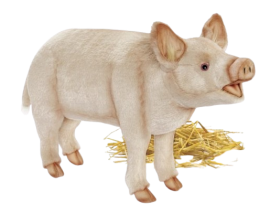 Hansa Plüss Játék Malac Álló 63cm.H (6347)