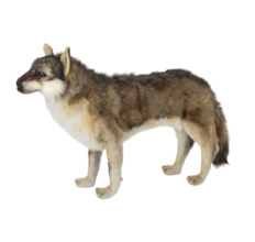 Hansa Plüss Farkas Álló 60cm.H (6760)