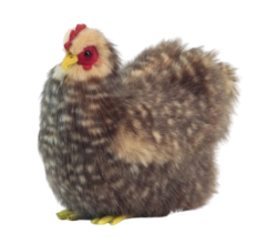 Hansa Plüss Játék Spanyol Csirke 28cm.H (6923)