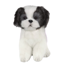 Hansa Plüss Játék Shih Tzu Teáscsésze 15cm.Ma (8414)