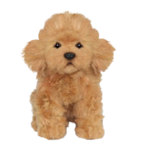 Hansa Plüss Játék Uszkár Teáscsésze 16cm.Ma (8418)