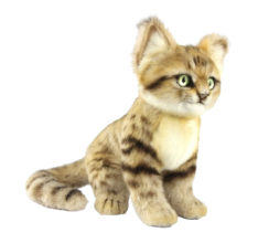 Hansa Plüss Játék Homokmacska Ülő 24cm.Ma (8757)