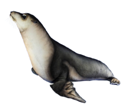 Hansa Plüss Játék Oroszlánfóka 168 cm.H (8767)