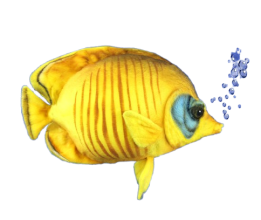 Hansa Plüss Játék Kékarcú pillangóhal 27cm.H (8794)