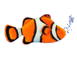 Hansa Plüss Játék Bohóchal 34cm.H (8804)