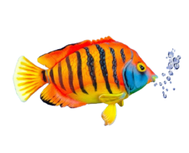 Hansa Plüss Játék Láng Vitorláshal 33cm.H (8806)