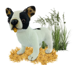 Hansa Plüss Játék Francia Bulldog Teáscsésze Álló 20cm.H (8812)