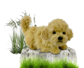 Hansa Plüss Játék Uszkár Teáscsésze Guggoló 20cm.H (8819)