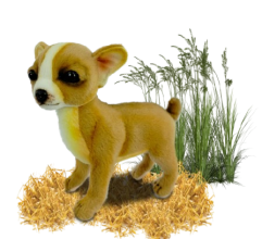 Hansa Plüss Játék Csivava Teáscsésze Álló 19cm.H (8828)