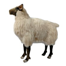 Hansa Plüss Játék Bárány 95cm.H (8845)