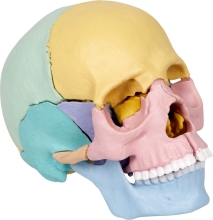 Koponya Epito Keszlet Vad+klassz, Spiegelburg (20288)