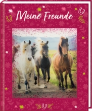 Freundebuch Pferdefreunde - Meine Freunde, Spiegelburg (18033)