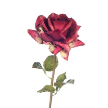 Fem.rozsavirag a Szaron Rd-grn 56cm, GoodWill (62884)