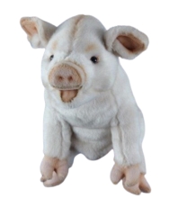 Pig Golf Takaro (Fa),Hansa (83409)