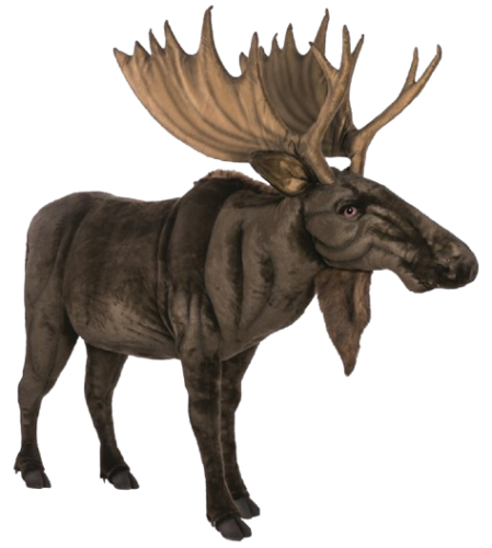 Hansa Plüss Játék Jávorszarvas 238 cm.H (htc 5523) (0228)