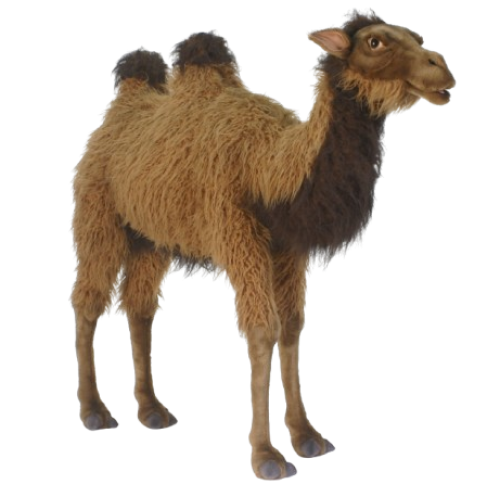 Hansa Plüss Játék Baktriai teve 110cm.H (htc 5609) (0413)