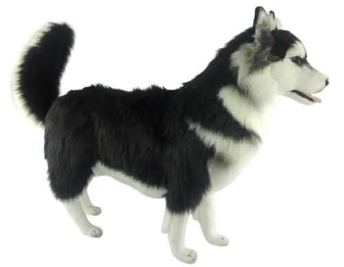 Hansa Plüss Játék Szibériai Husky Fekete 115cm.H (0912)