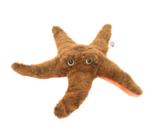 Hansa Plüss Játék Tengeri csillag 25 cm. (2974)