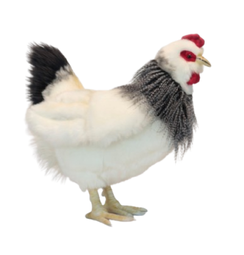 Hansa Plüss Játék francia tyúk 38 cm.Ma (5034)