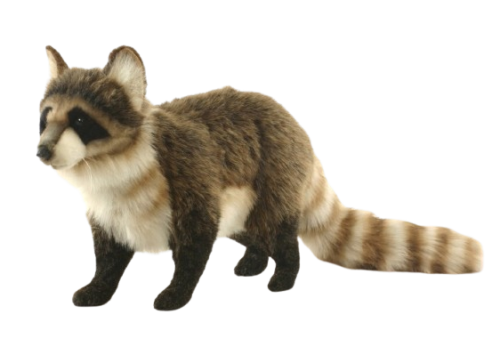 Hansa Plüss Játék Mosómedve Álló 45 cm Hossz. (5181)