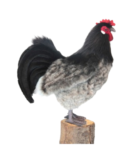 Hansa Plüss Játék Elzászi tyúk 34 cm.H (6037)