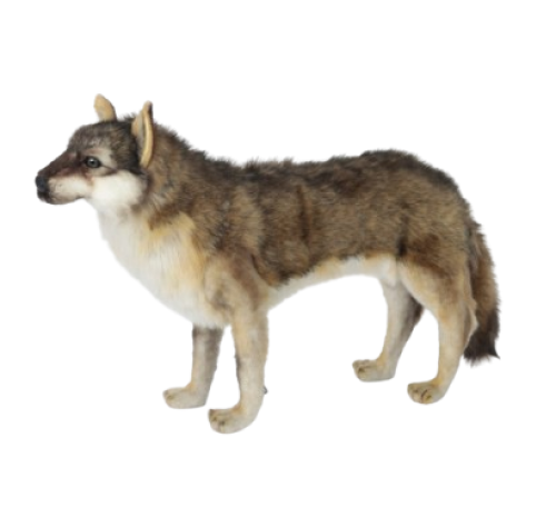 Plüss játékok Hansa Plüss Farkas Álló 60cm.H (6760)