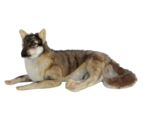 Hansa Plüss Farkas Fekvő 66cm.H (6762)