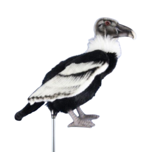 Hansa Plüss Játék Condor golftáska (Utility) (8341)