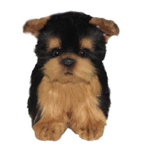 Hansa Plüss Yorkshire Terrier Teáscsésze 16cm.Ma (8417)