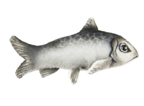 Hansa Plüss Heringhal (L) 12 cm.L (8718)