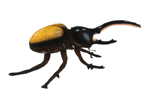 Hansa Plüss Herkules Bogár 37cm.H (8735)