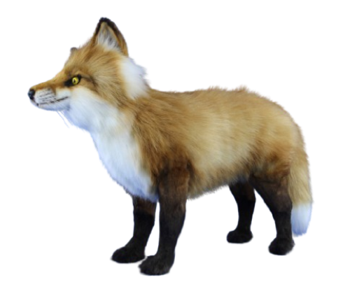 Hansa Plüss Játék Vörös Róka Álló 50cm.H (8748)