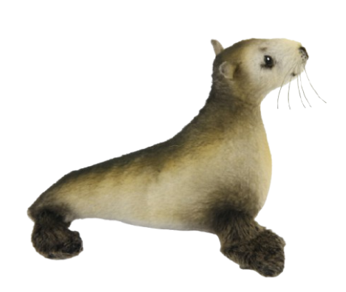 Hansa Plüss Játék Oroszlánfóka kölyök (K) 14 cm.H (8774)