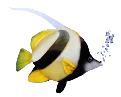 Hansa Plüss Játék Korallhalas Zászló 33cm.H (8790)