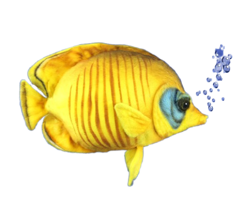 Hansa Plüss Játék Kékarcú pillangóhal 27cm.H (8794)