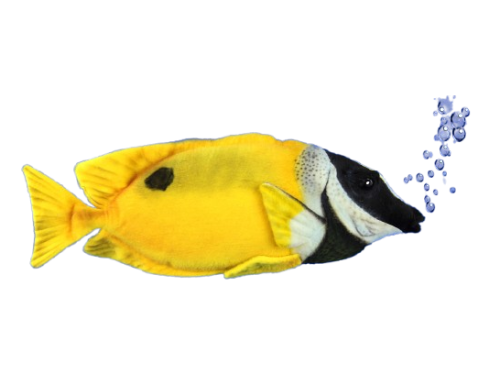 Hansa Plüss Játék Rókafejű nyúlhal 36cm.H (8795)