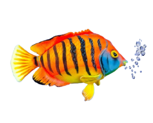 Hansa Plüss Játék Láng Vitorláshal 33cm.H (8806)