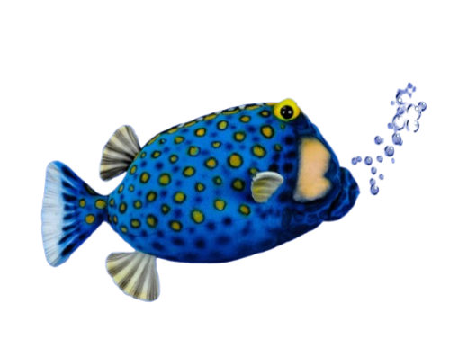 Hansa Plüss Játék Kék Doboz Hal 35cm.H (8807)