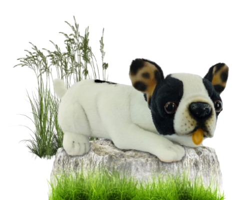 Hansa Plüss Játék Francia Bulldog Teáscsésze Guggoló 19cm.H (8811)