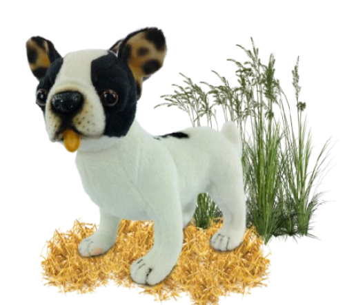 Hansa Plüss Játék Francia Bulldog Teáscsésze Álló 20cm.H (8812)