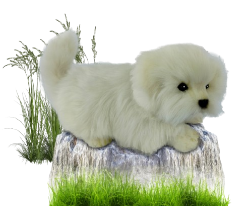 Hansa Plüss Játék Máltai teáscsésze Guggoló 21cm.H (8815)