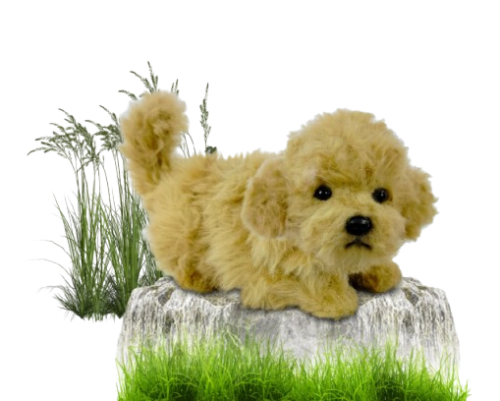 Hansa Plüss Játék Uszkár Teáscsésze Guggoló 20cm.H (8819)