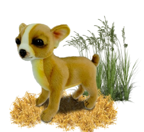 Hansa Plüss Játék Csivava Teáscsésze Álló 19cm.H (8828)