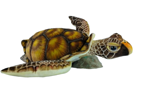 Hansa Plüss Játék Hawksbill tengeri teknős, kicsi, 90 cm széles (8842)