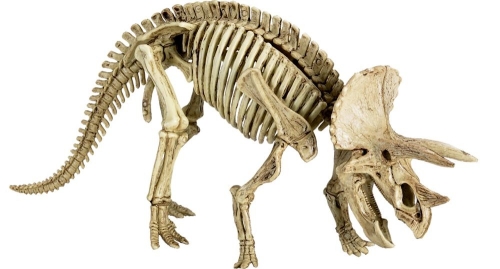 Asatasi Keszlet Triceratops T-rexworld, Spiegelburg (19589)