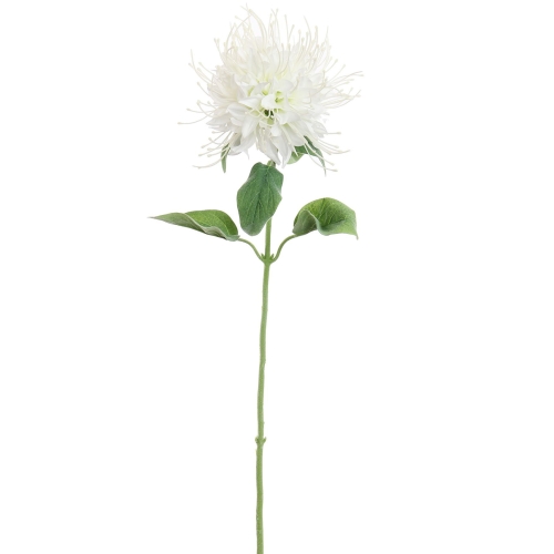 Monarda Flower 75cm Krem, Jasaco (48091)