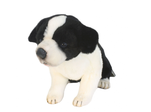 Puha játék ülő Border collie kiskutya, magassága 25 cm, Hansa (56649)