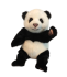 Hansa Plüss Panda Medve 19cm.Ma (6630)